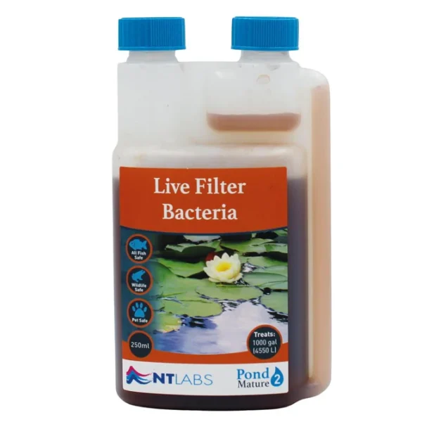 NT LABS Live Filter Bacteria