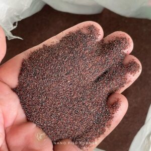 Red Garnet Sand