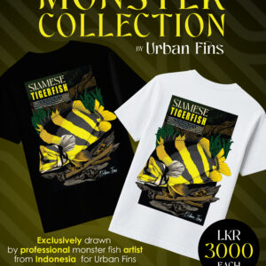Urban Fins Monster Collection – Issue 2: Siamese Tigerfish premium cotton T-shirt