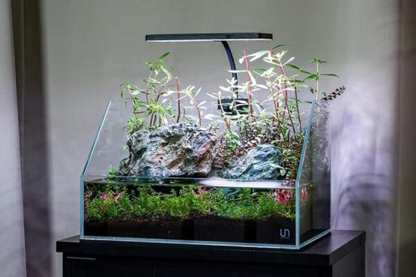 2025/11/2701.jpg Neo Helios Flat Nano S3 Plus 13W