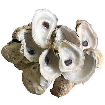 Oyster Shells Oyster Shells for Aquarium pH & Hardness