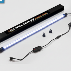 Kintons Sunlight Master