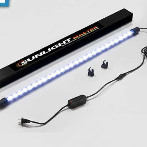 Kintons Sunlight Master Kintons Sunlight Master