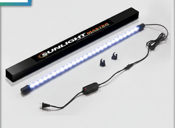 Kintons Sunlight Master Kintons Sunlight Master