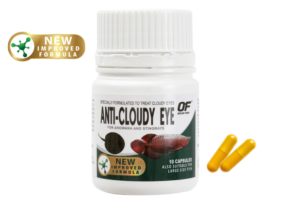 OF Arowana Anti-Cloudy Eye Capsules