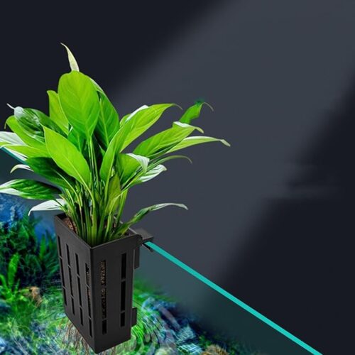 71vB7gY1GYL._AC_SX679_ Aquarium planter cup with hooks for growing plants in fish tank