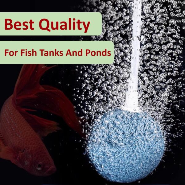 Air Stone Disk 60mm (4mm & 8mm Air Tube Compatible)