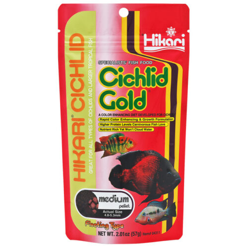 Hikari Cichlid Gold