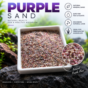 Purple Sand for Aquariums | Nano Fish Corner